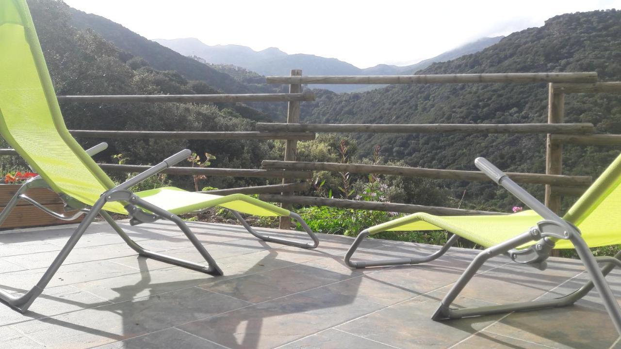 Appartement Giannoni San-Martino-di-Lota Luaran gambar