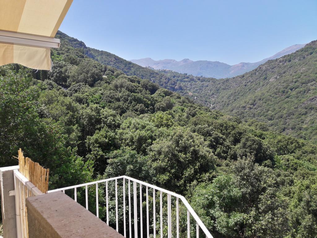 Appartement Giannoni San-Martino-di-Lota Luaran gambar
